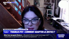 Pour la sénatrice Nathalie Goulet, "on ne peut pas juger les fous mais il faut protéger la société"