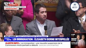 Loi immigration: "Vous avez cédé sur tout, mais surtout vous avez cédé par aveuglement, par orgueil et par faiblesse" affirme Andy Kerbrat (LFI)