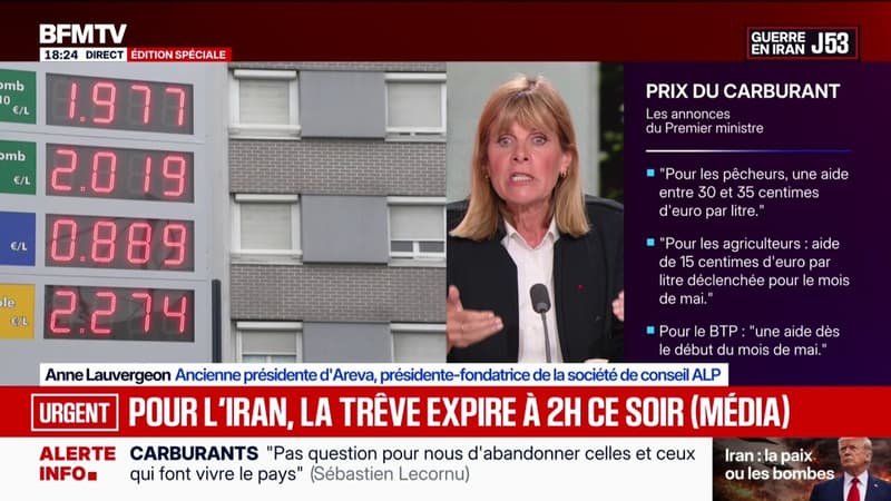 Annonces de Sébastien Lecornu: "Ce qui m'inquiète beaucoup, c'est qu'il n'y a rien pour l'industrie", déclare Anne Lauvergeon, ex-présidente d'Areva