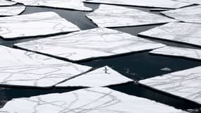 La mer de Ross, en Antarctique. 