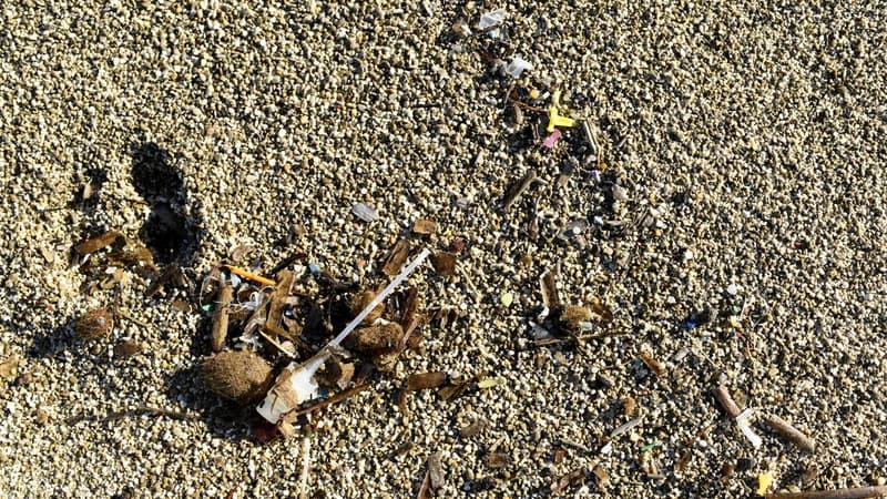 Plastique à usage unique: trois déchets sur quatre retrouvés sur les plages sont interdits à la vente