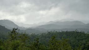 La forêt et les montagnes des Ghats occidentaux, dans le district de Wayanad, au Kerala en Inde, le 16 septembre 2021.