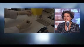Lien prouvé entre pesticide et infertilité masculine 