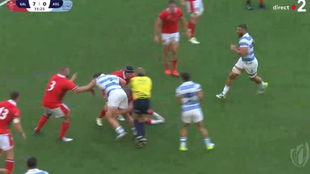 La blessure de l'arbitre Peco Peyper lors de Pays de Galles-Argentine La blessure de l'arbitre Peco Peyper lors de Pays de Galles-Argentine