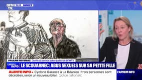 Procès Le Scouarnec: l'ancien chirurgien a reconnu à la barre des abus sexuels sur sa petite fille