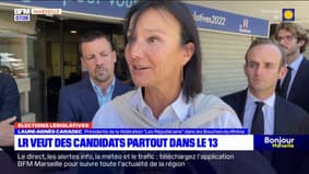 Législatives: Les Républicains veulent un candidat dans toutes les circonscriptions des Bouches-du-Rhône