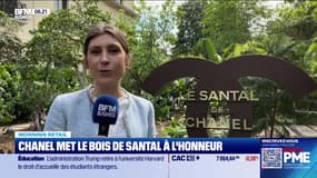 Morning Retail : Chanel met le bois de santal à l'honneur, par Eva Jacquot - 23/05