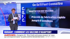 Covid-19: face aux nouveaux variants, comment les laboratoires adaptent-ils les formules des vaccins ? 