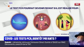 Voyages, concerts... Faut-il rendre payants les tests PCR pour les loisirs ?