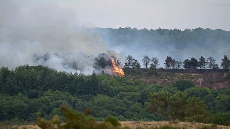 A fire in the Brocéliande forest, July 17, 2025 in Tréhorenteuc, in Morbihan