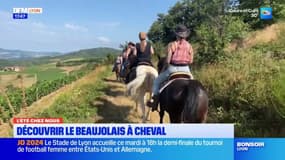 L'été chez nous: une balade à cheval pour découvrir le Beaujolais