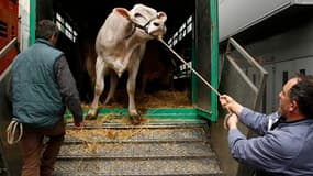 Le ministre français de l'Agriculture Bruno Le Maire a annoncé mardi un plan d'aide de 300 millions d'euros sur trois ans en faveur des éleveurs, qui subissent une hausse des coûts et de faibles prix de vente. /Photo d'archives/REUTERS/Benoît Tessier