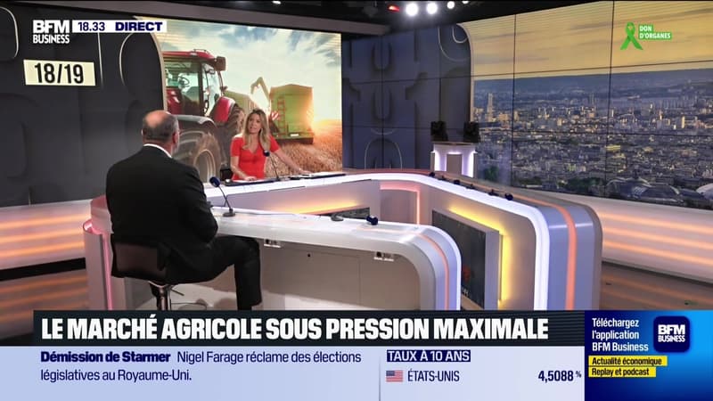 Les effets de la canicule sur l'agriculture - 22/06