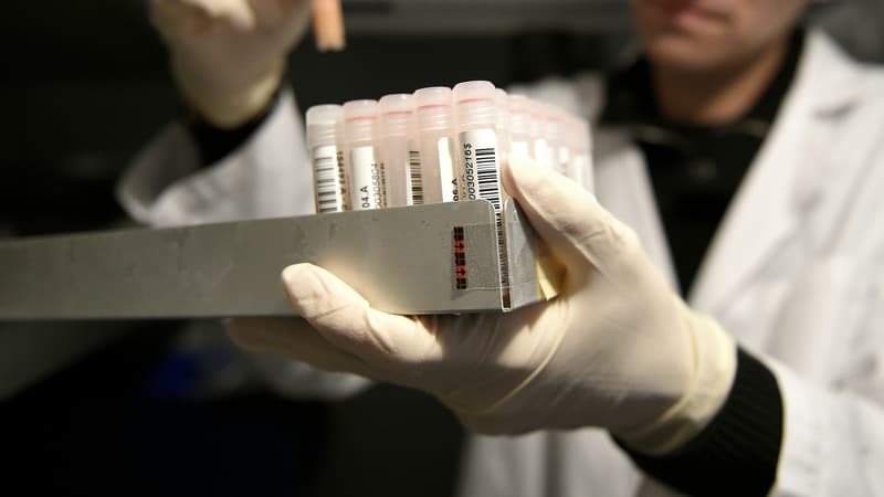 Dans un laboratoire d'analyses sanguines. (photo d'illustration)