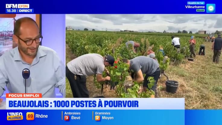 Le Focus Emploi de Bonsoir Lyon, avec des postes à pourvoir dans le Beaujolais