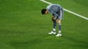 Hugo Lloris