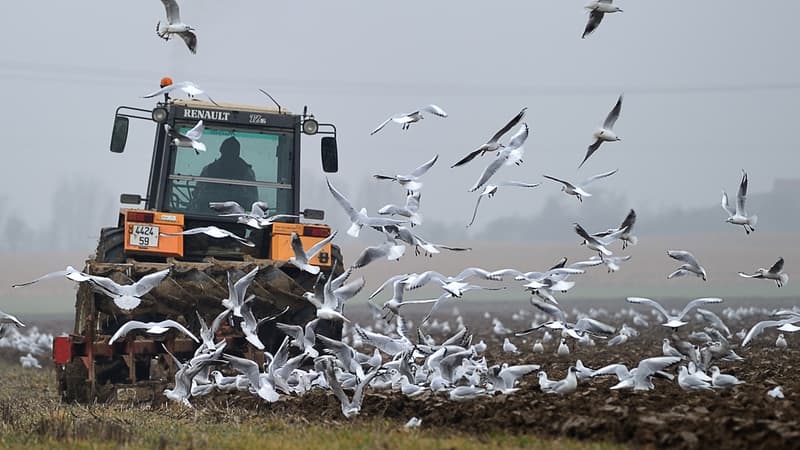 Le tracteur a été poursuivi par les gendarmes pendant une heure. (Photo d'illustration)