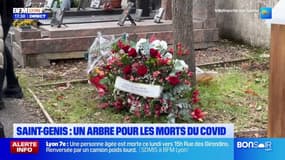 Rhônes: un arbre planté en mémoire des morts du Covid à Saint-Genis-Laval