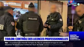 Toulon: contrôle des licences professionnelles