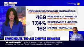Provence-Alpes-Côte d'Azur: les chiffres de la bronchiolite en hausse