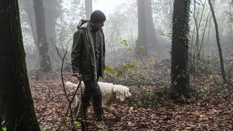 Un chasseur et son chien (photo d'illustration)