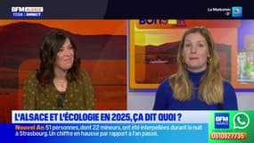 Une Alsace sous le thème de l'écologie pour 2025