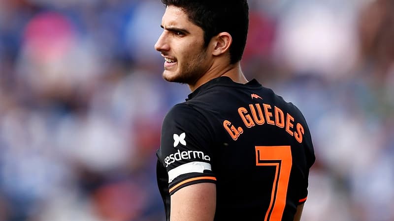 Gonçalo Guedes.