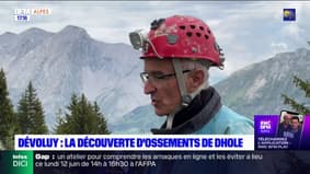 Dévoluy: à la découverte d'une grotte d'ossements de dhole