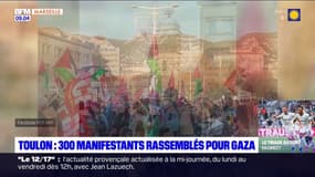 Toulon: 300 manifestants rassemblés pour Gaza