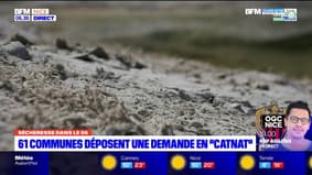 Sécheresse: 61 communes des Alpes-Maritimes demandent la reconnaissance de l'état de catastrophe naturelle