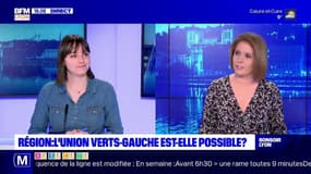 Elections régionales : l'union verts-gauche est-elle possible ?  