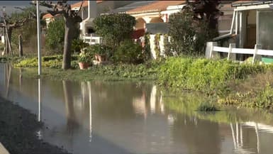 La commune de Palavas-les-Flots (Hérault) sous l'eau après les inondations qui ont touché le département la troisième semaine de décembre 2025 