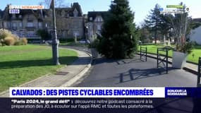 Calvados: sapin de Noël, grande roue... Des pistes cyclables encombrées