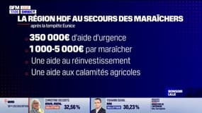 Hauts-de-France: quatre mois après la tempête Eunice, la région annonce des aides pour les maraîchers