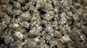 Plus d'une tonne de cannabis a notamment été saisi depuis janvier dans la capitale.