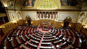 L'hémicycle du Sénat. 