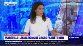 Planète Locale du lundi 31 octobre 2022 - Quelles transitions écologiques pour les croisières ? 