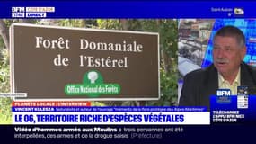 Planète locale du lundi 3 avril 2023 - Le 06 face à la disparition de la flore