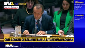 Soudan: "Les attaques prenant pour cible les soldats de la paix de l'ONU peuvent être constitutifs de crimes de guerre", prévient l'ONU