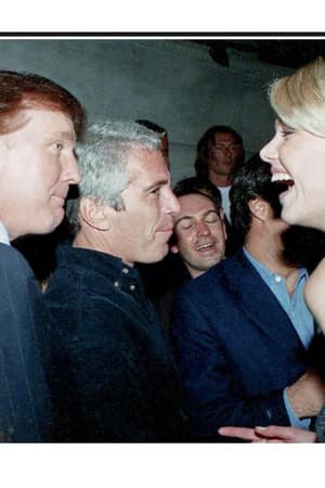 "Ils ont créé un monstre": des théories du complot aux promesses non tenues, comment Donald Trump s'est embourbé dans l'affaire Epstein