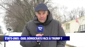 États-Unis: quel candidat démocrate face à Trump ?