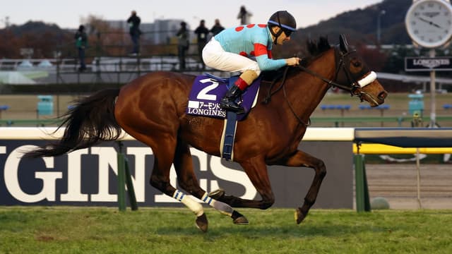 La championne Almond Eye triomphe dans la Japan Cup 2020