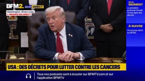 "Nous devrions licencier beaucoup de gens" en cas de «shutdown» prévient Donald Trump