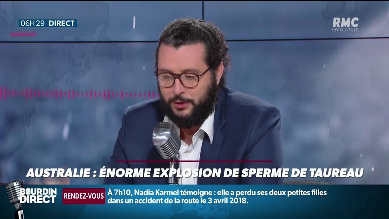 En Australie, une explosion de sperme de taureau a eu lieu