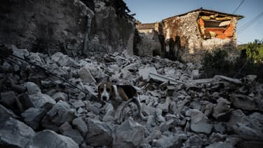 Un séisme de magnitude 5,4 sur l'échelle de Richter, qui n'a duré que quelques secondes le 11 novembre à la mi-journée, a provoqué de nombreux dégâts en particulier au Teil.