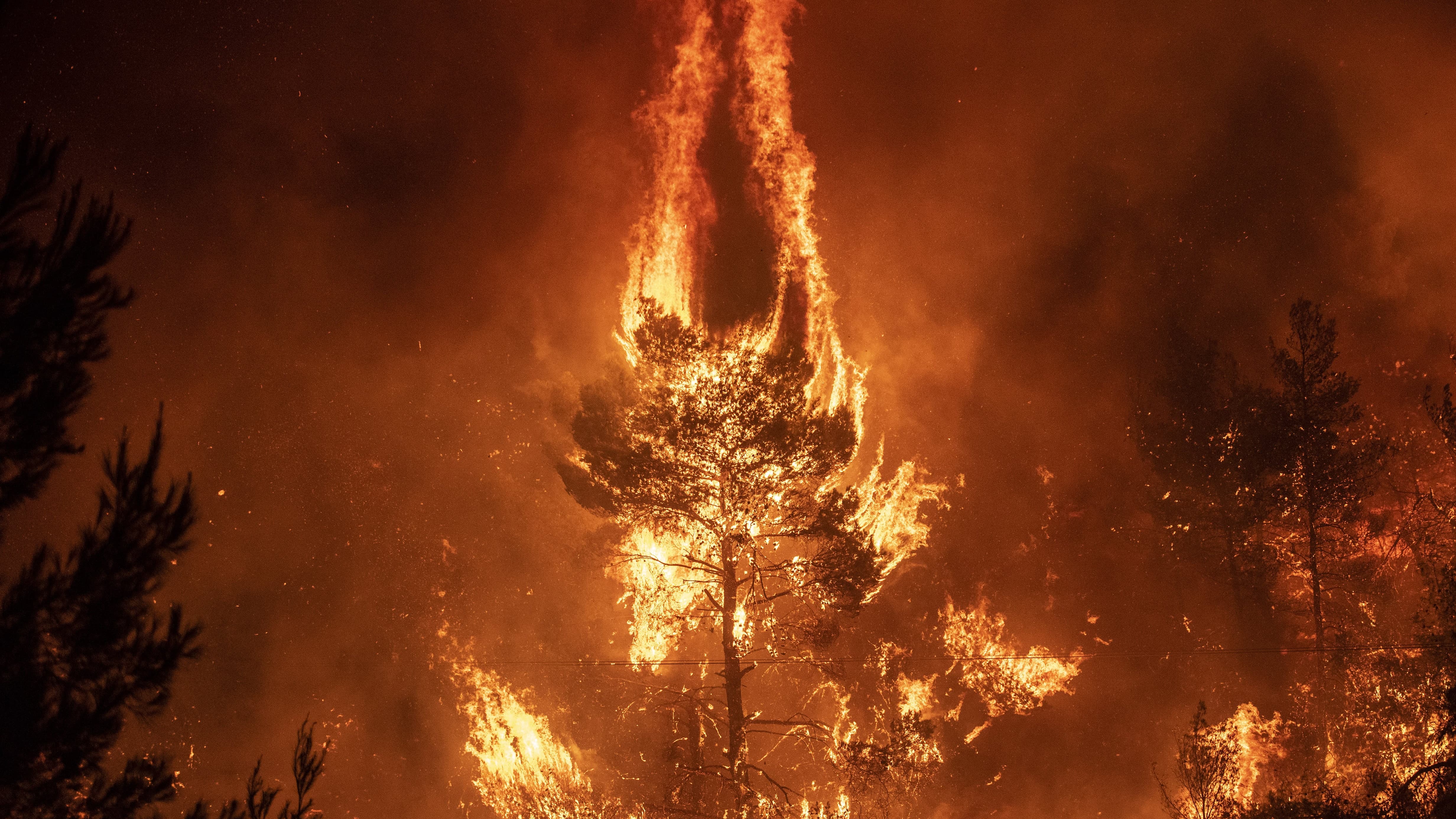 Огни пожарищ. Лесные пожары. Горящий лес. Лес в огне. Пожар на природе.
