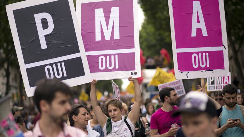 Des manifestants tiennent des pancartes en faveur de la PMA lors de la Marche des fiertés le 29 juin 2013 à Paris. 
