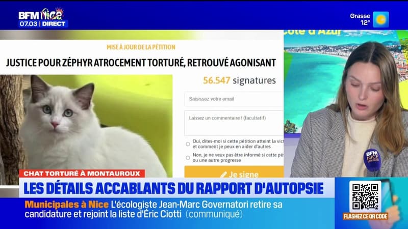 Chat torturé à Montauroux : les détails glaçants de l'autopsie révélés