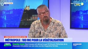 Lyon: des arbres plantés dans la métropole