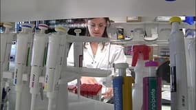 Bientôt un vaccin contre les allergies aux acariens?